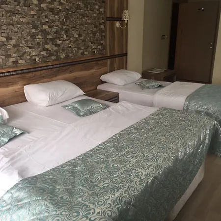 Fengo Hotel&spa 3*