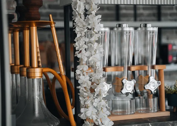 Fengo & Трабзон